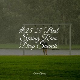 Album cover of #25 25 Best Spring Rain Drop Sounds