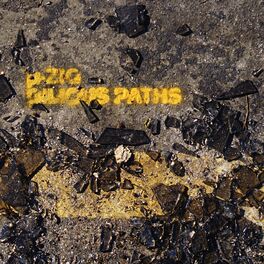 Album cover of Bilious Paths