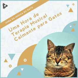 Album cover of 1 Hora de Terapia Musical Calmante para Gatos