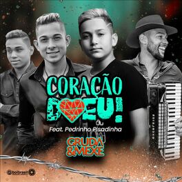 Album cover of Coração Doeu