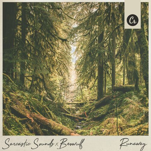 Runaway (U & I) (Slowed + Reverb) - Song Download from Runaway (U