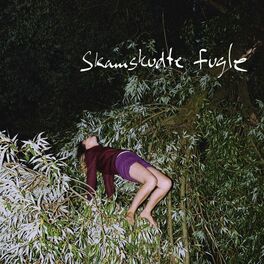 Album cover of Skamskudte Fugle