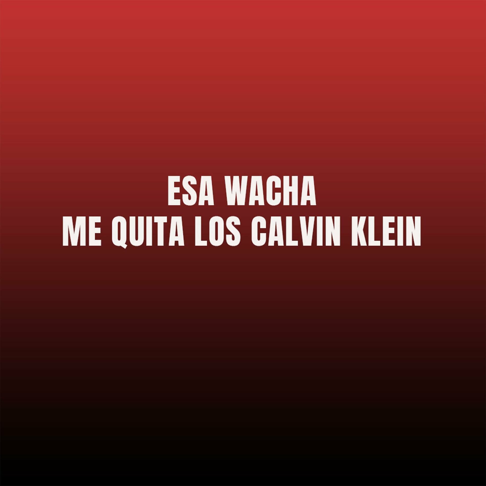 Dj Pichula - esa wacha me quita los calvin klein: letras y canciones |  Escúchalas en Deezer