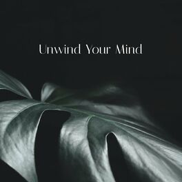 Album cover of Unwind Your Mind