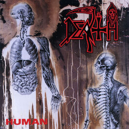 Album cover of Human (Deluxe Version)
