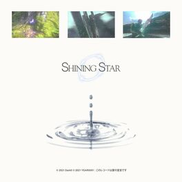 Album cover of Shining Star
