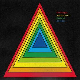 Album cover of Teenage Spaceman