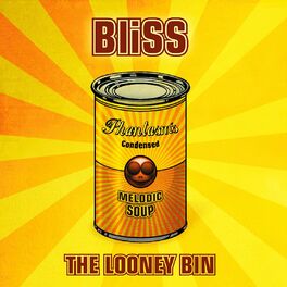 Album cover of The Looney Bin