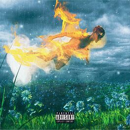 Album cover of ps… it burned in the rain