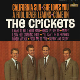 Album cover of California Sun - She Loves You