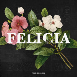 Album cover of Felicia