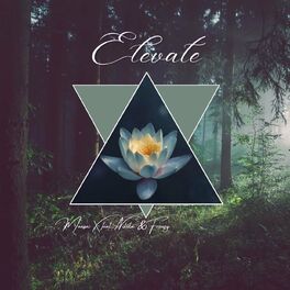 Album cover of Elevate (feat. Freasy & Nikita)