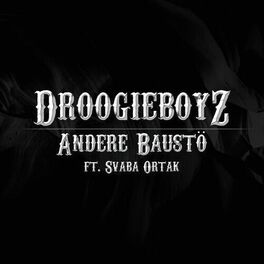 Album cover of Andere Baustö (feat. Svaba Ortak)