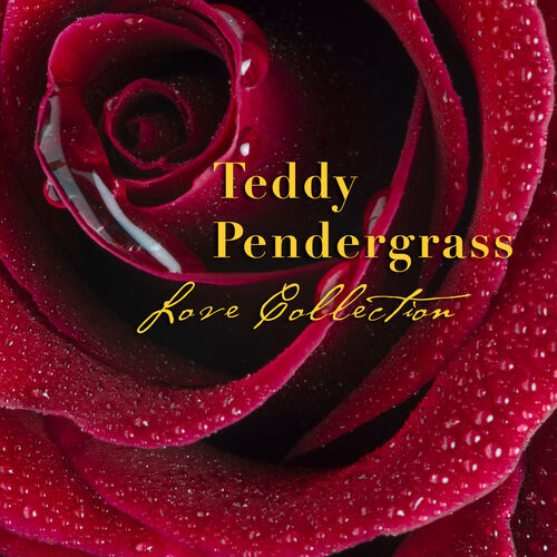 teddy pendergrass turn off the lights