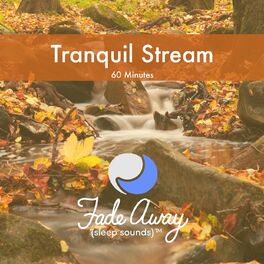Album cover of Tranquil Stream