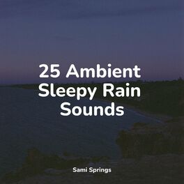 Album cover of 25 Ambient Sleepy Rain Sounds