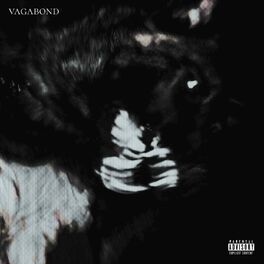 Album cover of VAGABOND