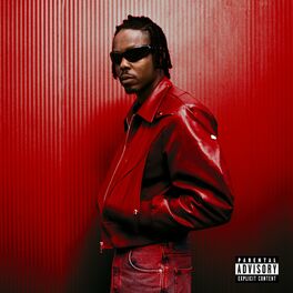 Album cover of SHUT IT DOWN