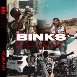 Album cover of Binks