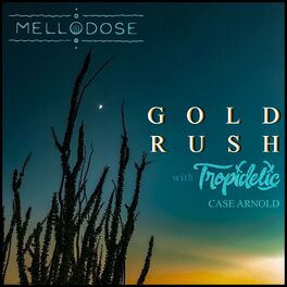 Album cover of Gold Rush