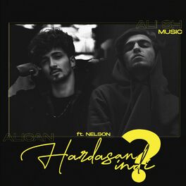 Album cover of Hardasan İndi ? (feat. Alican & Nelson)