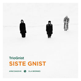 Album picture of Siste Gnist