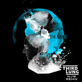 Album cover of Desire (NJW Remix)