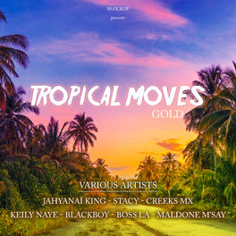 Album cover of Tropical moves gold (Blockop hits compilation)