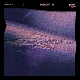 Album cover of Incredible