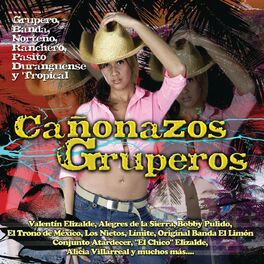 Album cover of Cañonazos Gruperos