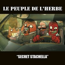 Album cover of Secret Stachella