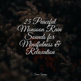 Album cover of 25 Peaceful Monsoon Rain Sounds for Mindfulness & Relaxation