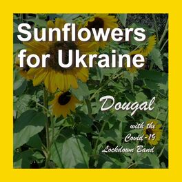 Album cover of Sunflowers for Ukraine