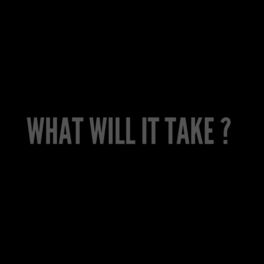 Album cover of What Will It Take ?
