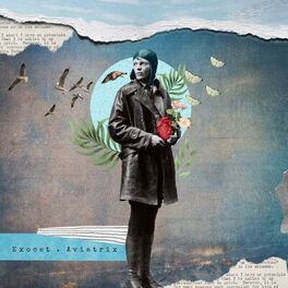 Album cover of AVIATRIX