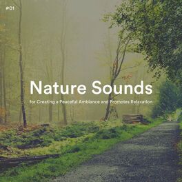 Album cover of #01 Nature Sounds for Creating a Peaceful Ambiance and Promotes Relaxation
