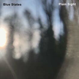 Album cover of Plain Sight