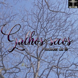 Album cover of Galhos Secos (Remix)