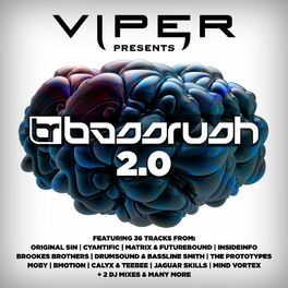 Album cover of Bassrush 2.0 (Viper Presents)