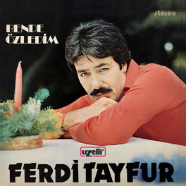 Album cover of Ben de Özledim