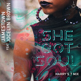 Album cover of She Got Soul (Harry's 7 Mix)