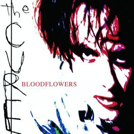 Album picture of Bloodflowers