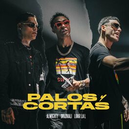 Album cover of Palos Y Cortas