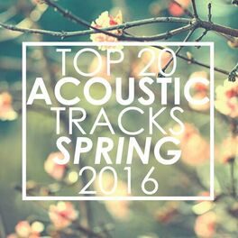 Album cover of Top 20 Acoustic Tracks Spring 2016