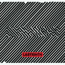 Album cover of Labyrinth (Standard Version)