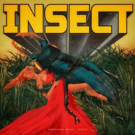 Album cover of Insect