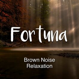 Album cover of Brown Noise Relaxation