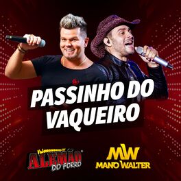 Album cover of Passinho do Vaqueiro