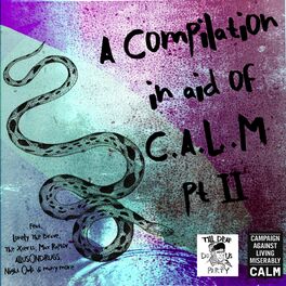 Album cover of A Compilation in aid of C.A.L.M Part II