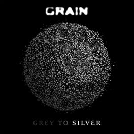 Album cover of Grey to Silver